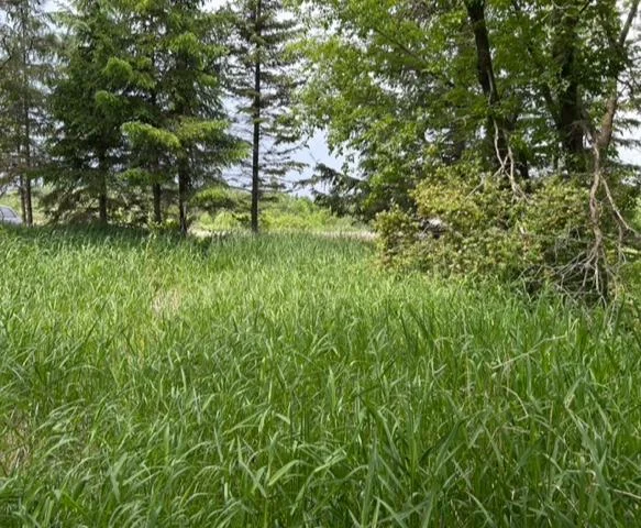 Thumbnail photo 16