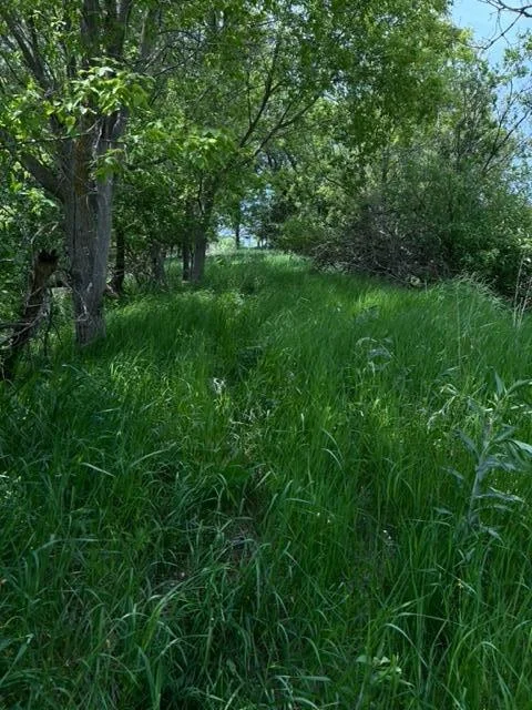 Thumbnail photo 13