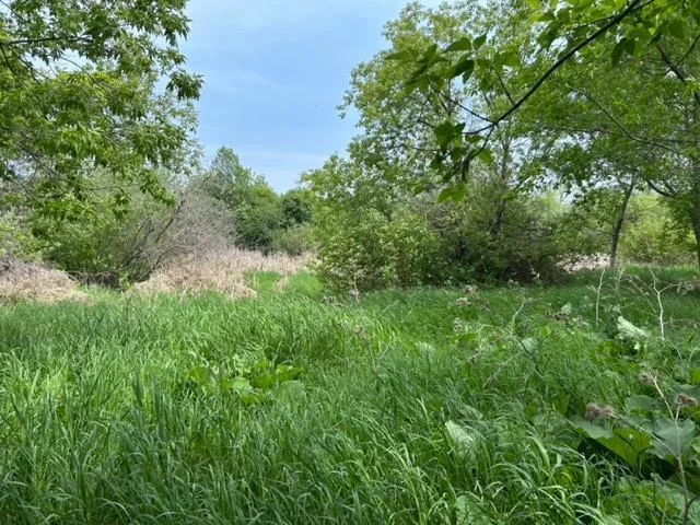 Thumbnail photo 6