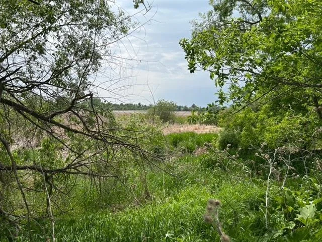 Thumbnail photo 15