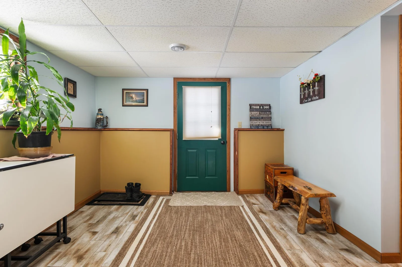 Walkout door in basement