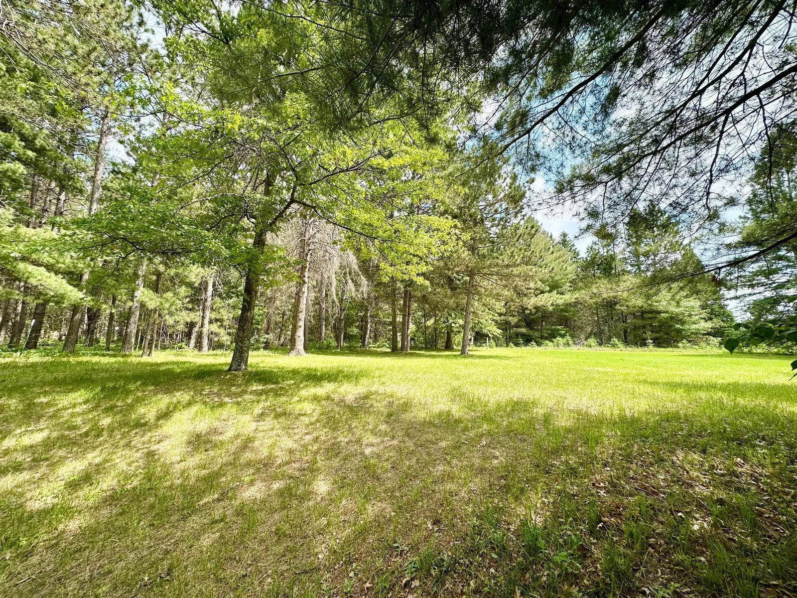 Beautiful Lawn