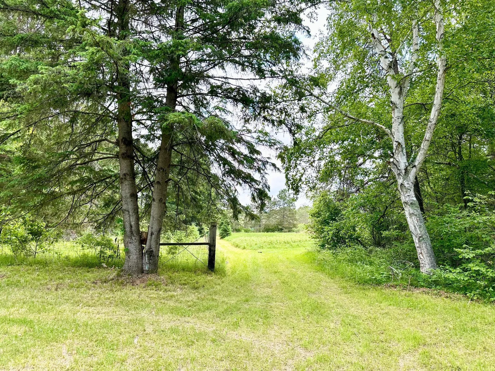Driveway Entrance