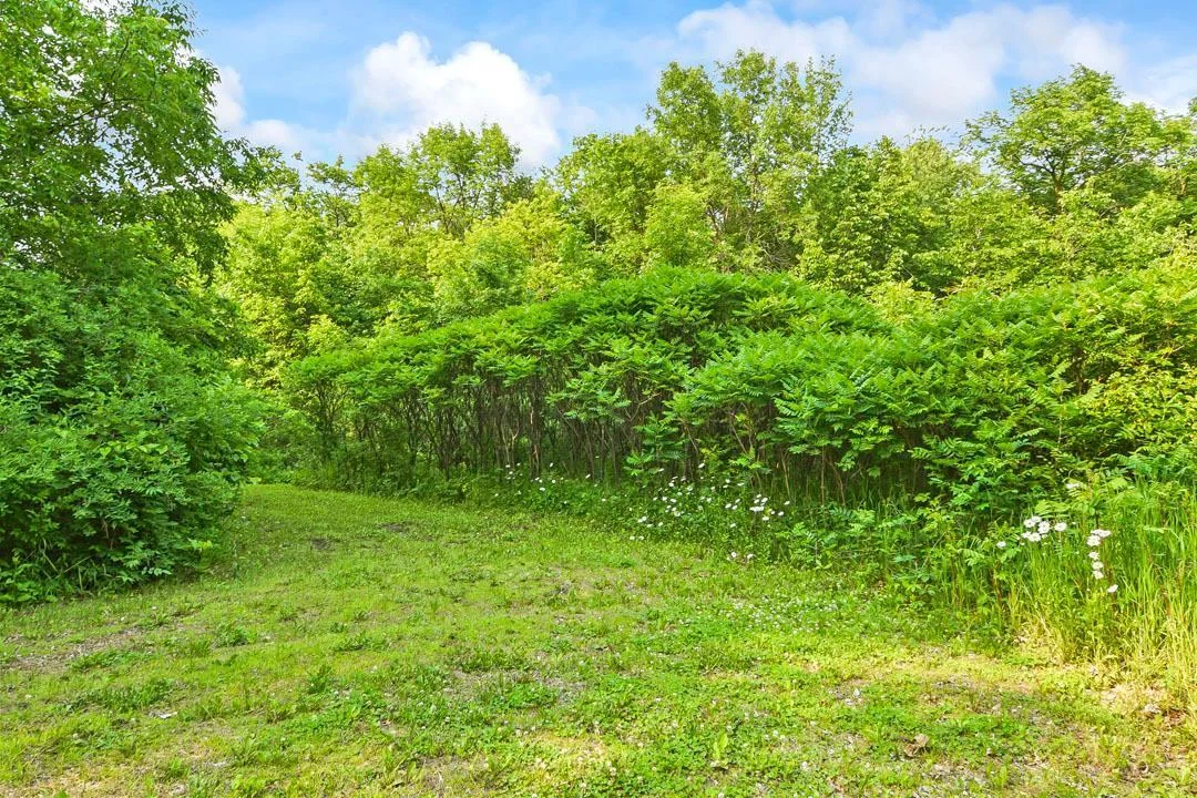 7458 39th Ave NW, Garfield, MN Take a hike!