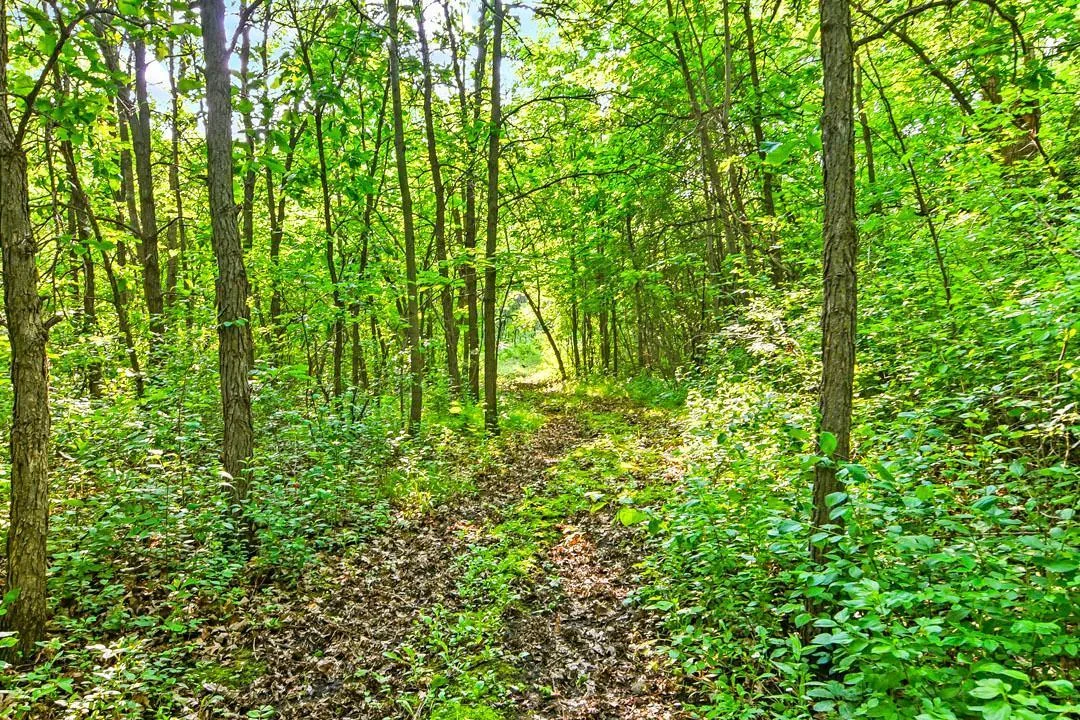 7458 39th Ave NW, Garfield, MN Established trails throughout the property.