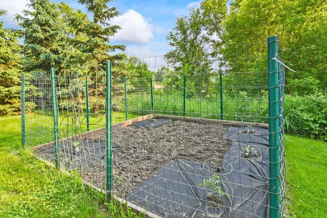 7458 39th Ave NW, Garfield, MN  Established Garden