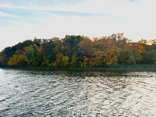 Photo 1 of E Lake Lizzie Rd