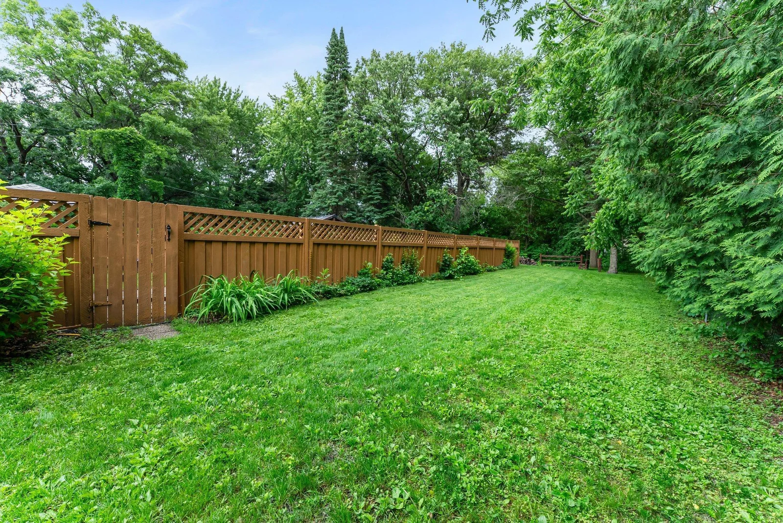 Large lot has additional space beyond pool area