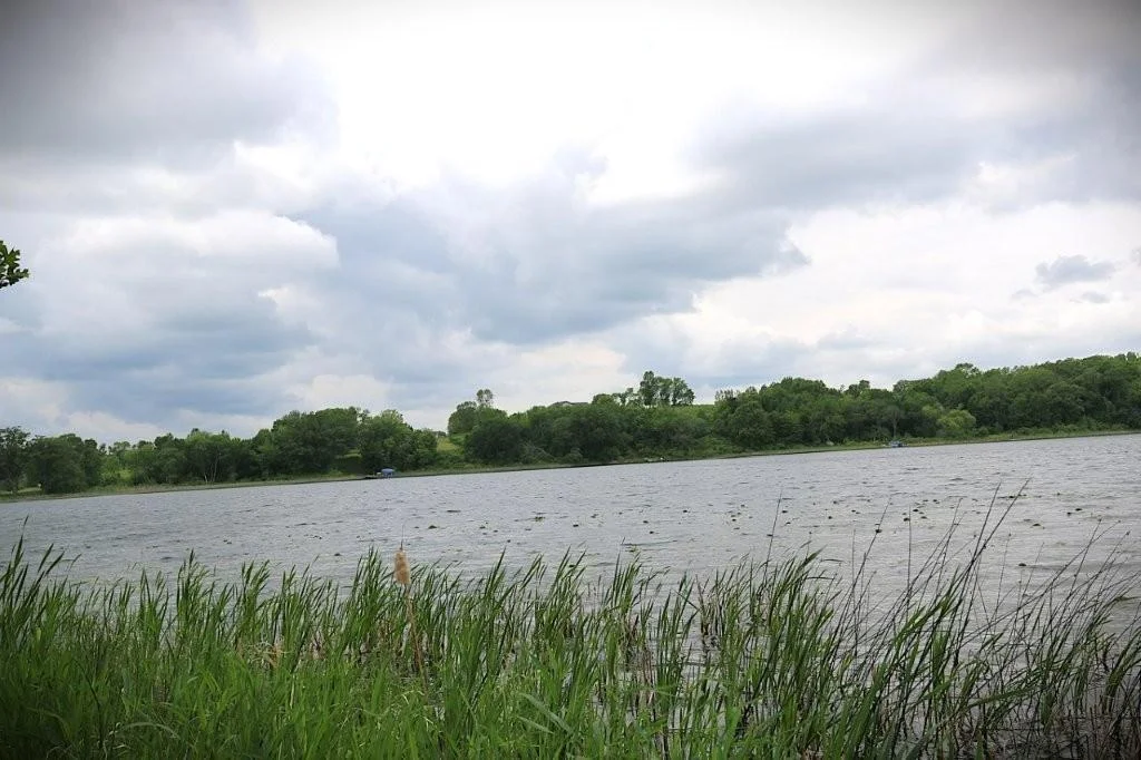 View of Lake.jpg