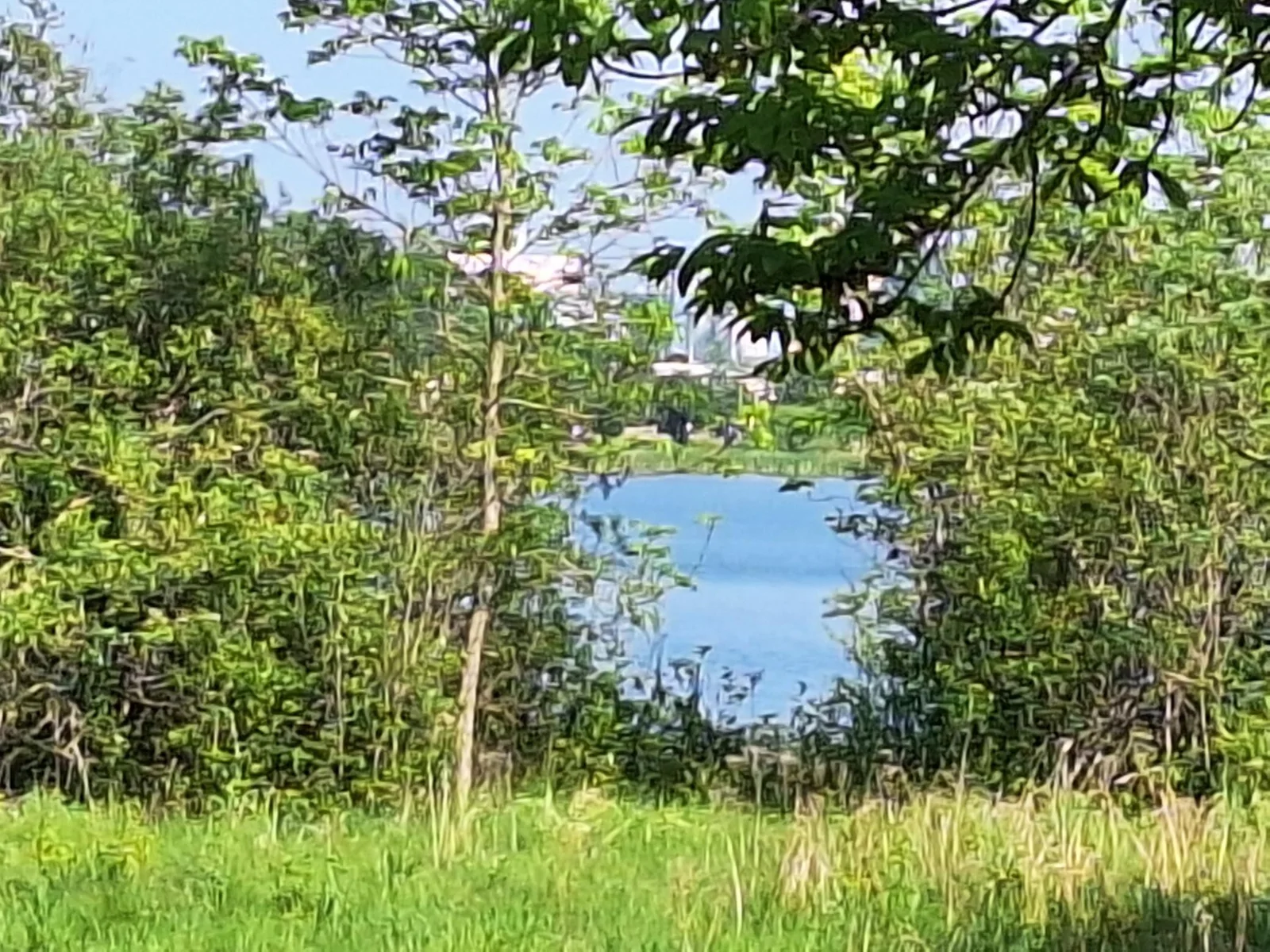 Thumbnail photo 10