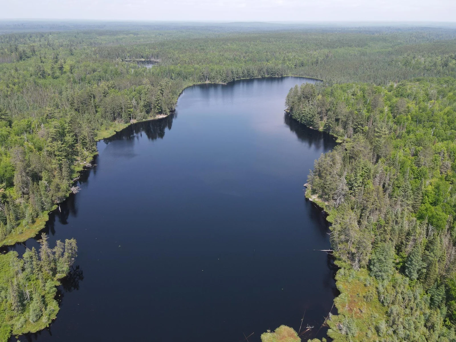 Section Thirty Lake facing NE