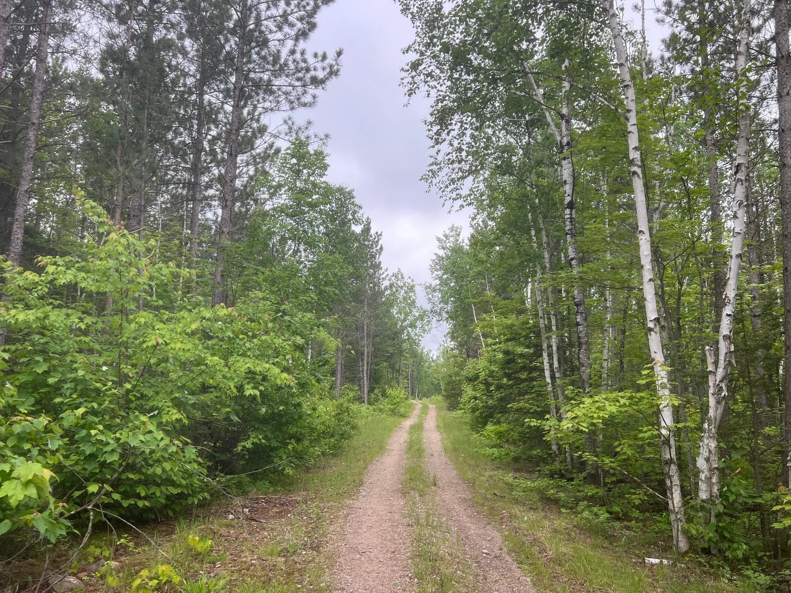 Parzyck Loop.  The drive in off Crane Lake Road is narrow, but the road is in great shape.