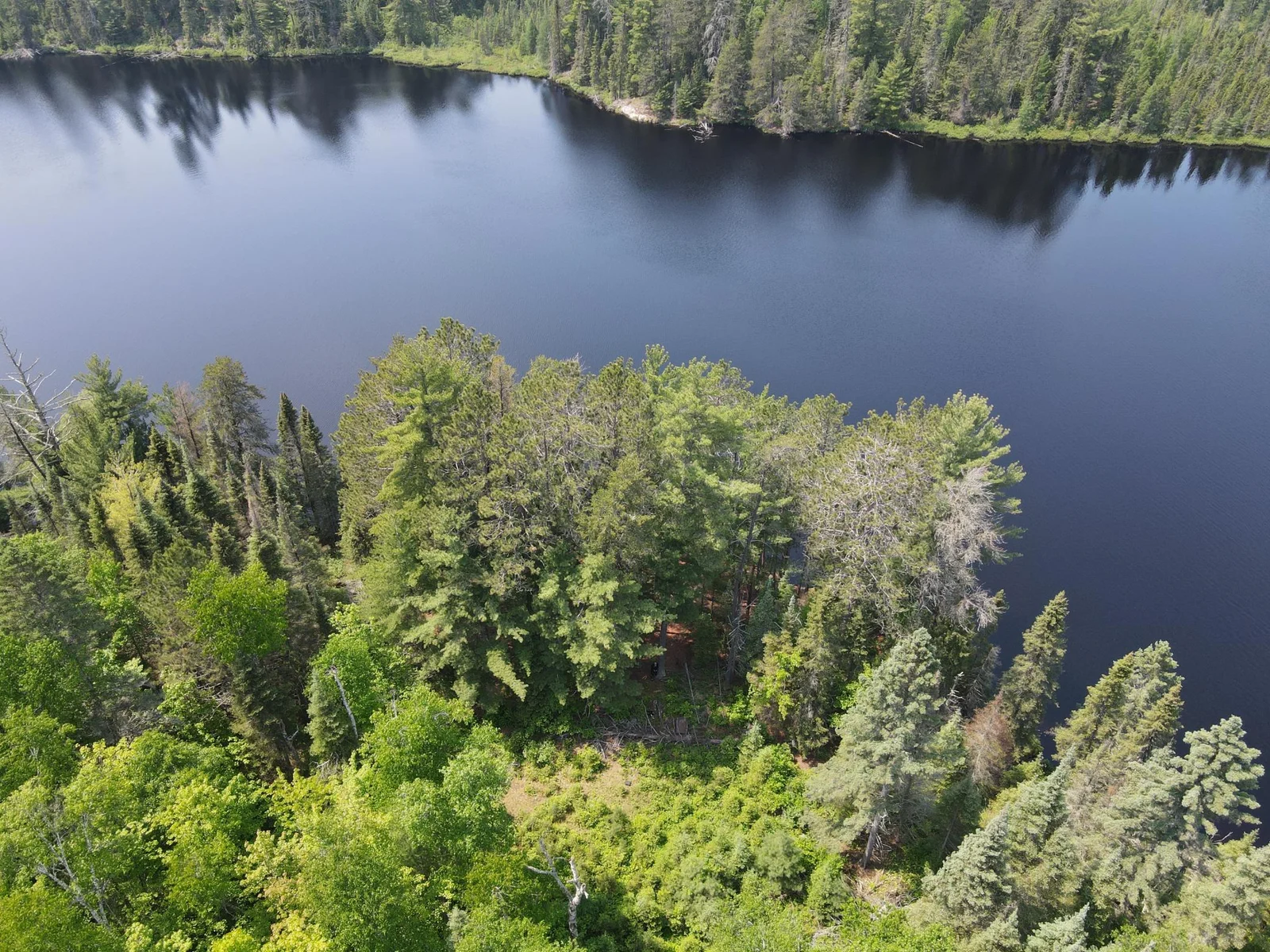 Build your getaway nestled in the giant white pines