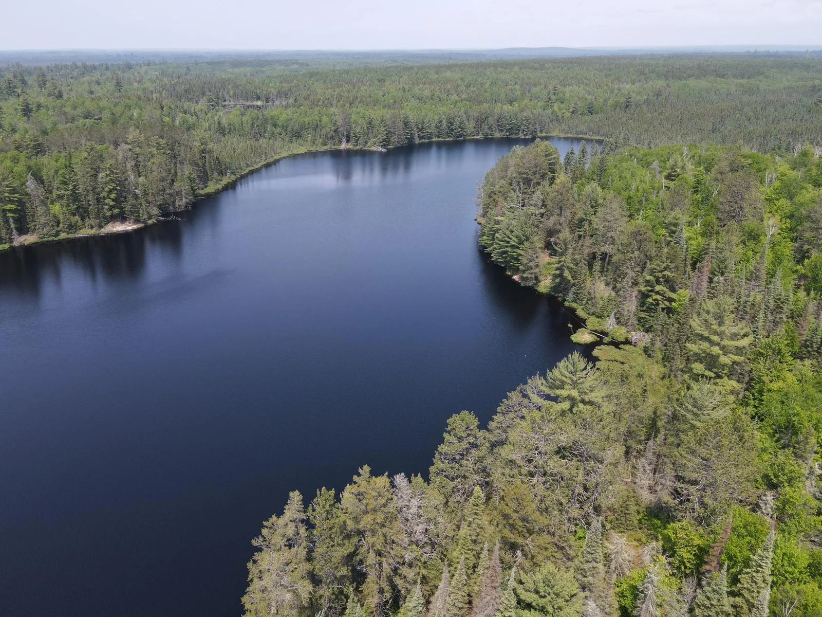 Over 4500+ feet of pristine shoreline