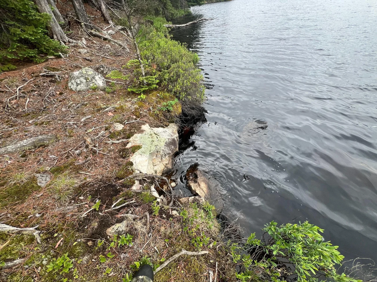 Rocky shoreline