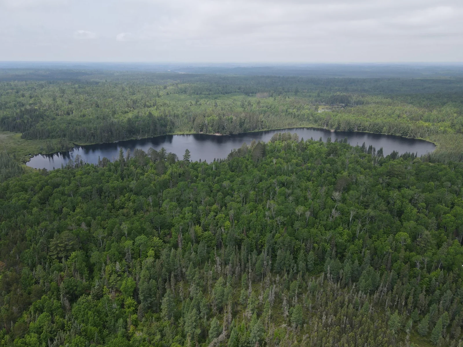 70+ wooded acres.