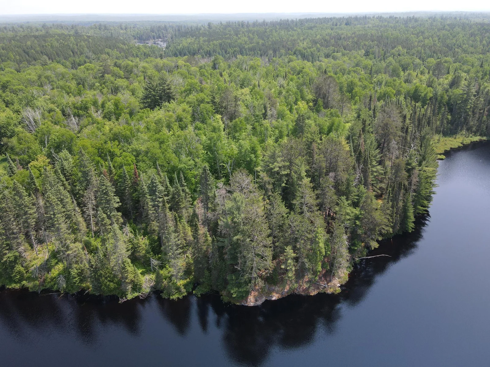 SE portion of the land