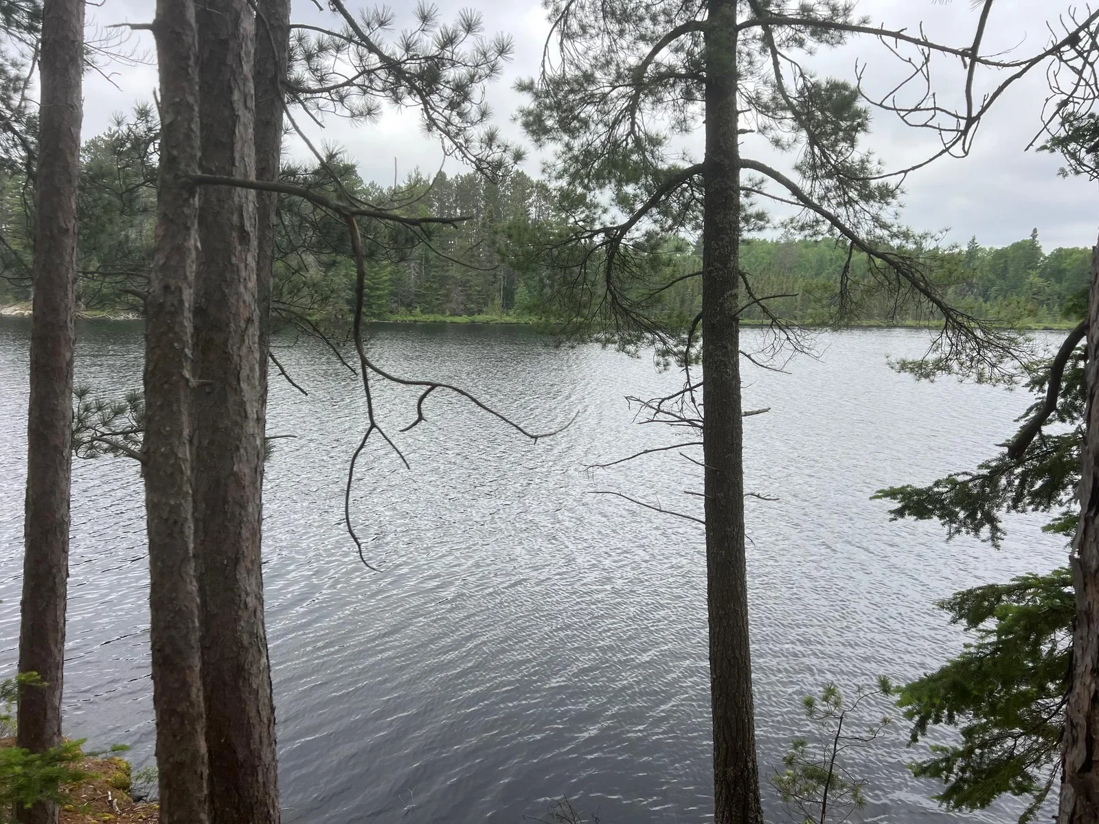 West facing view from building location
