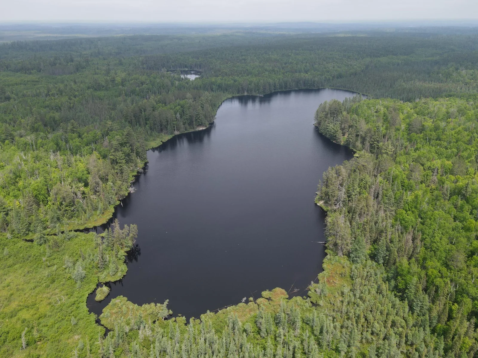 Section Thirty Lake Facing NE