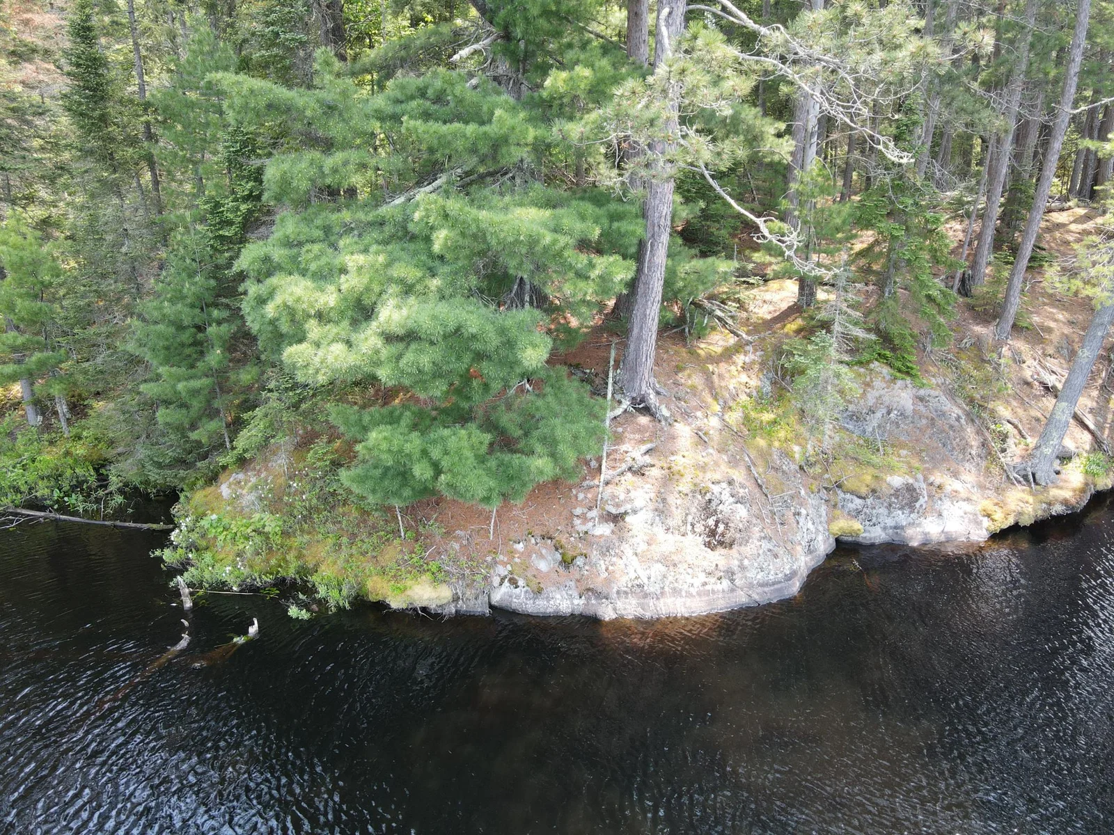 Excellent spot for shore lunch