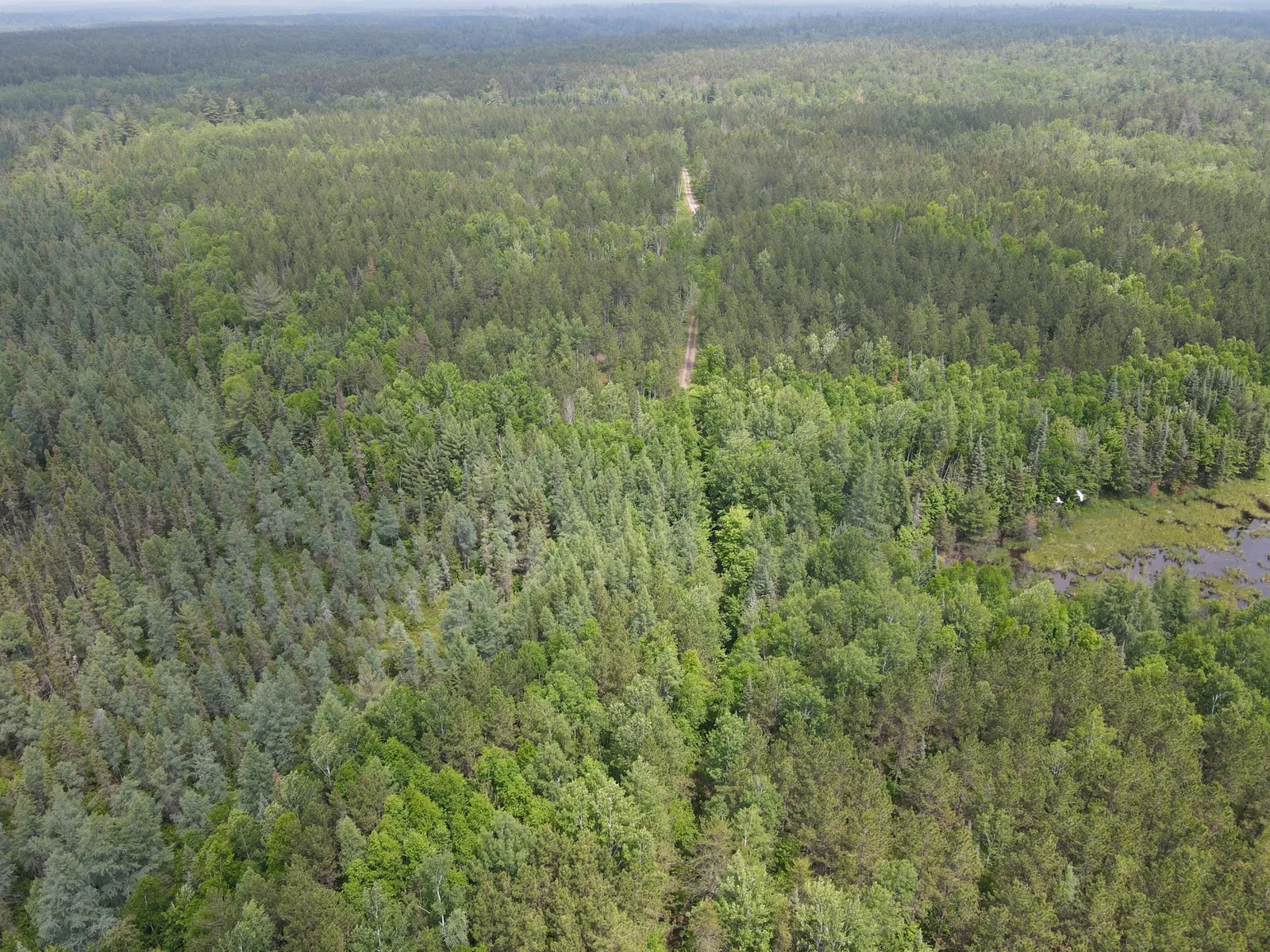 Parzych Loop heading into the property