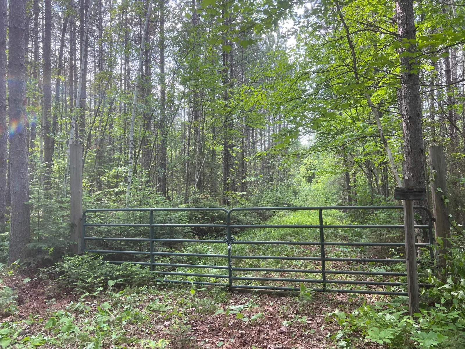 Driveway gate on the SE side of the land