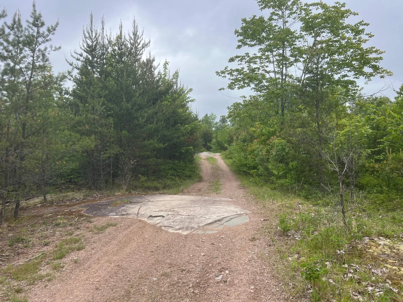 Parzyck Loop.