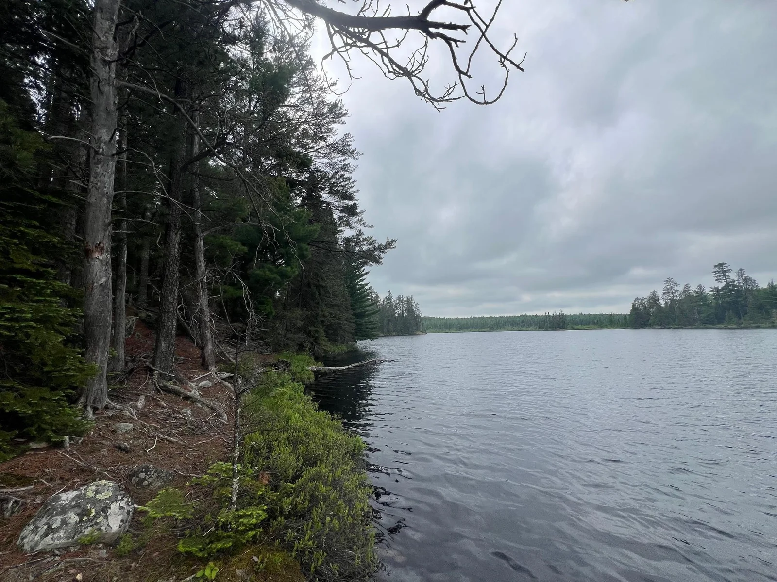 Excellent shoreline