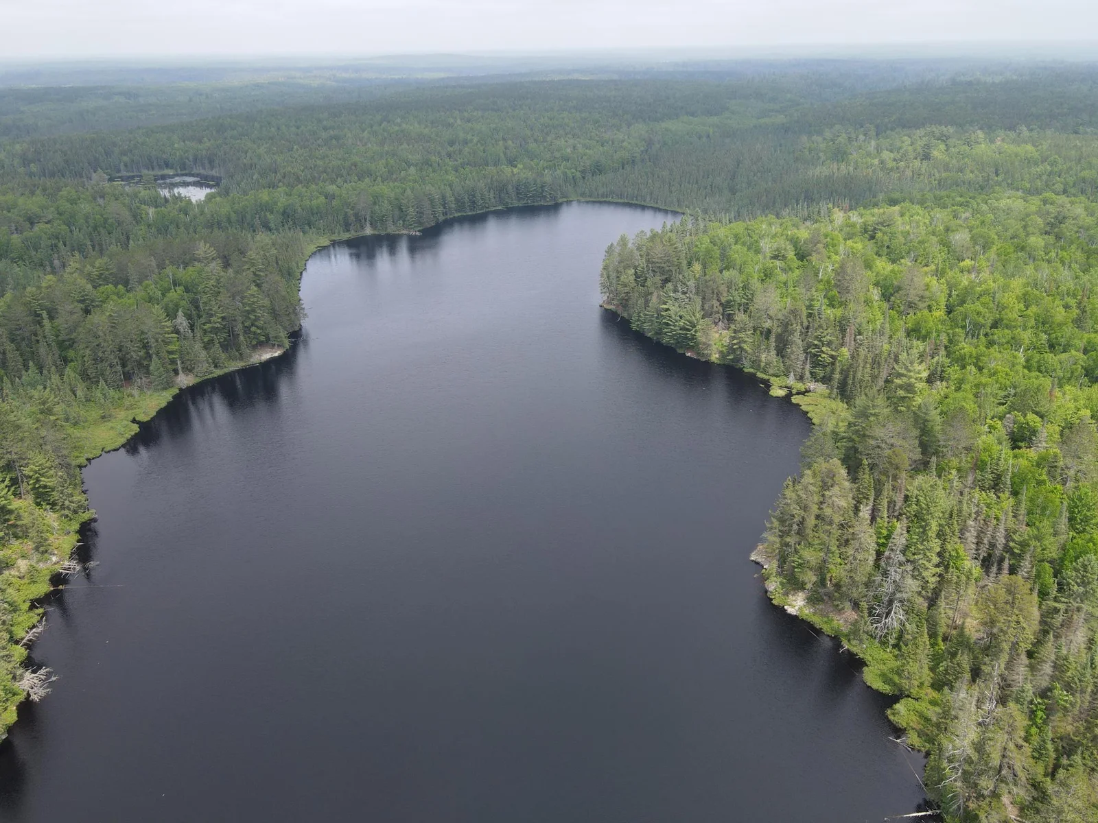 Section Thirty Lake.  Surrounded mainly by Conservation Fund and Government Land.