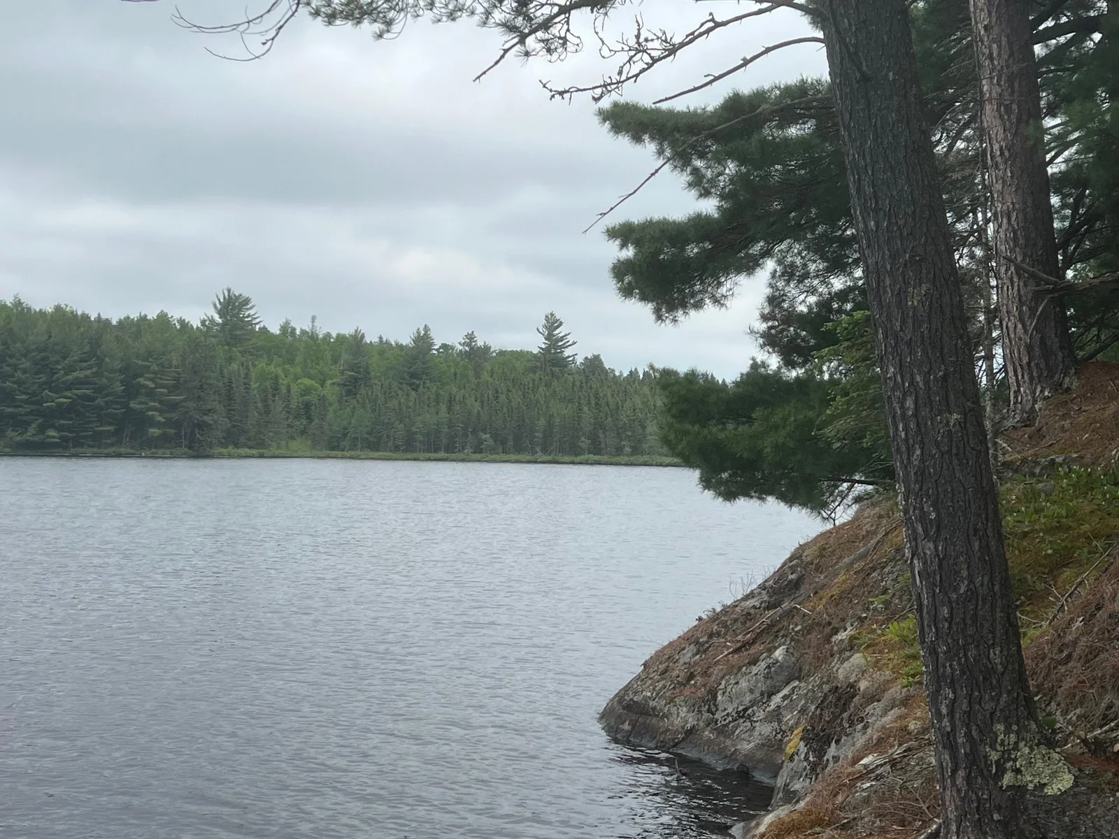 Shoreline
