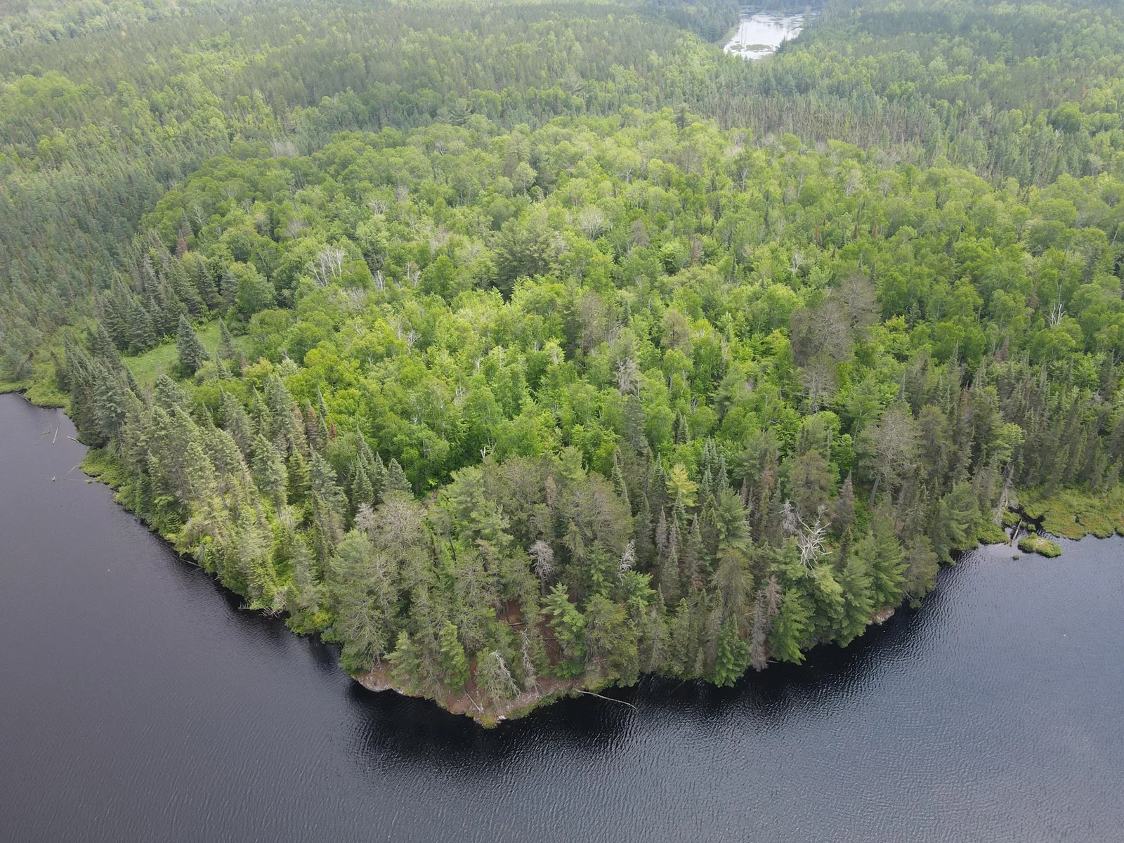 Shoreline facing East