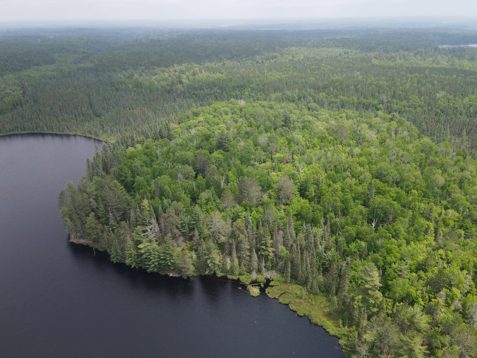 Excellent topography and over 4500+ feet of lakeshore
