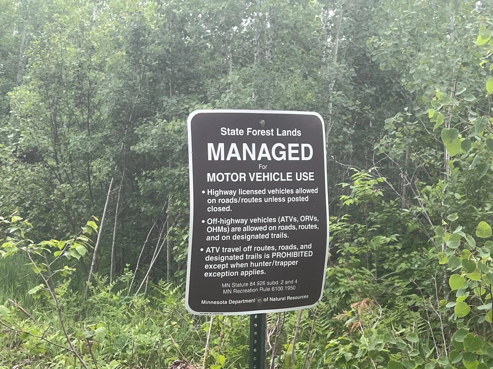 State Forest Road Rules