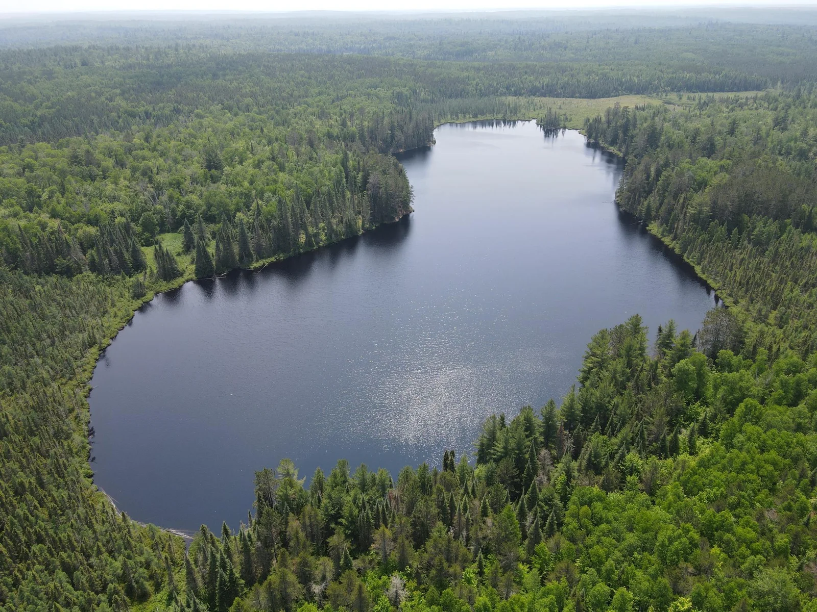 Photo 1 of Holm Logging
