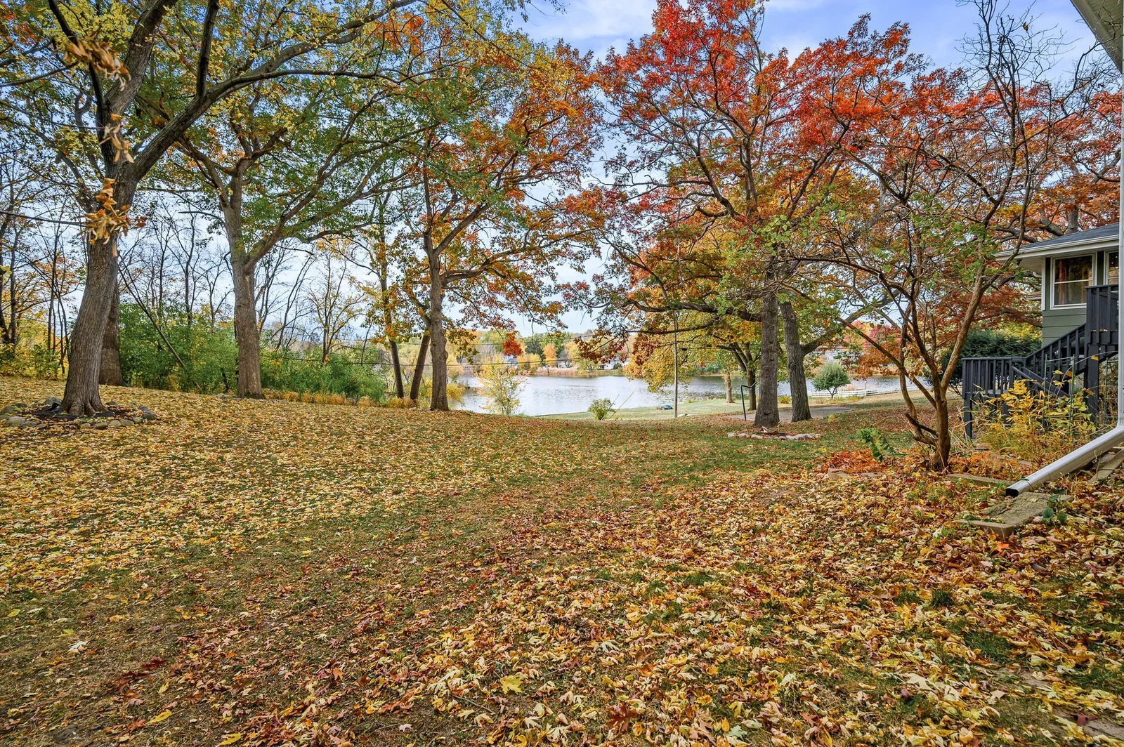 Yard view