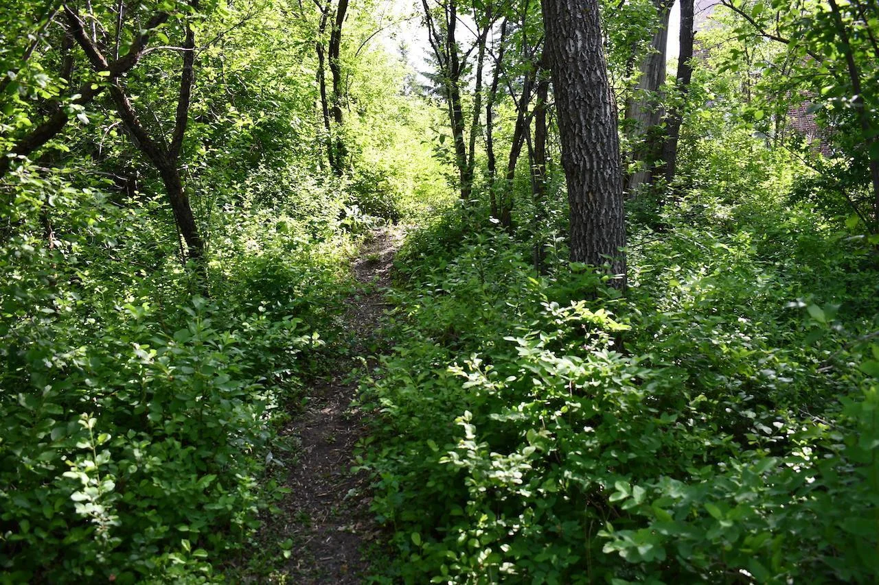 DSC_2076.JPG