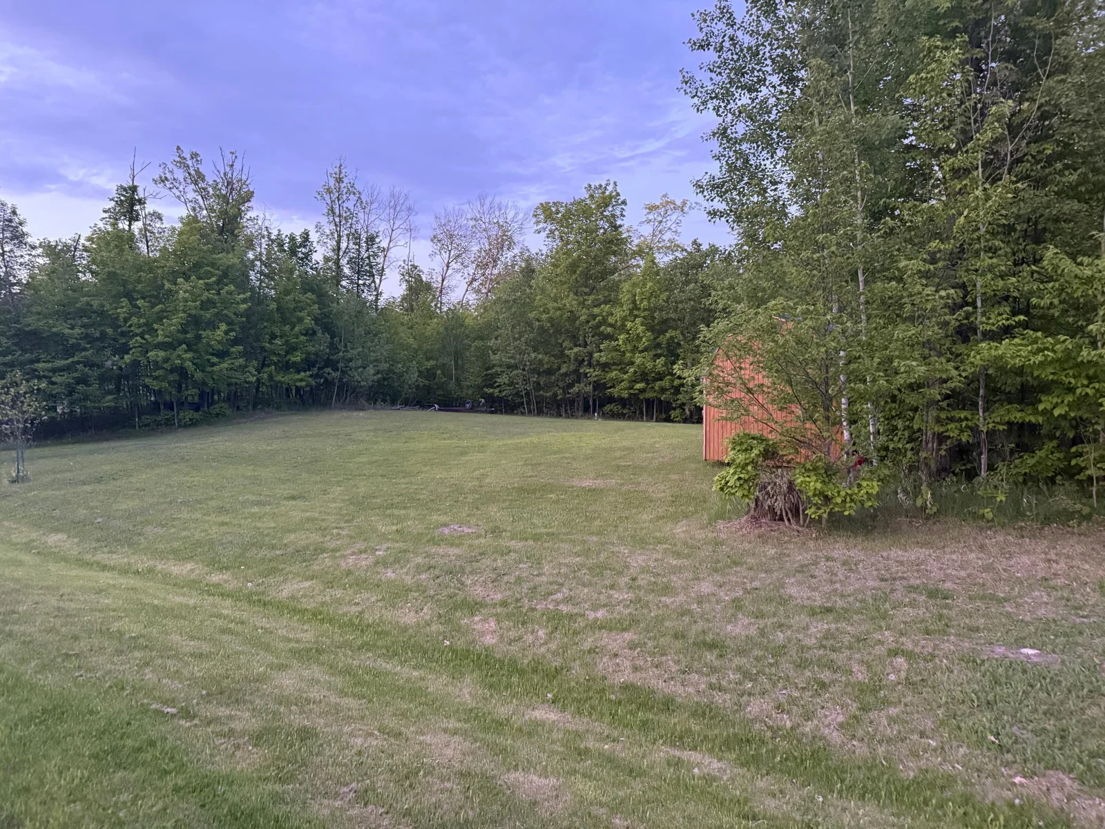 Large yard with shed to left of house