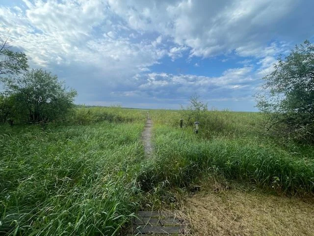 Thumbnail photo 42