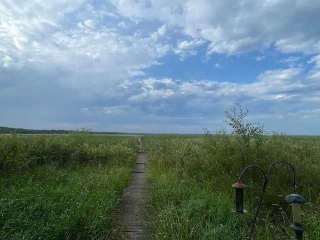 Thumbnail photo 39