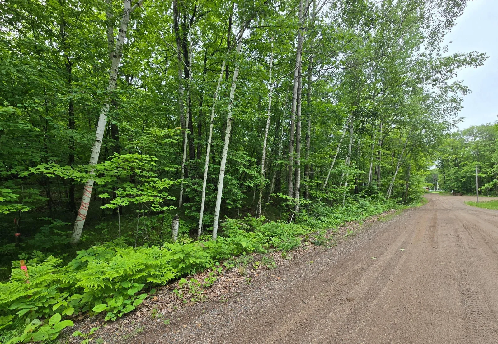 1000032255.jpg