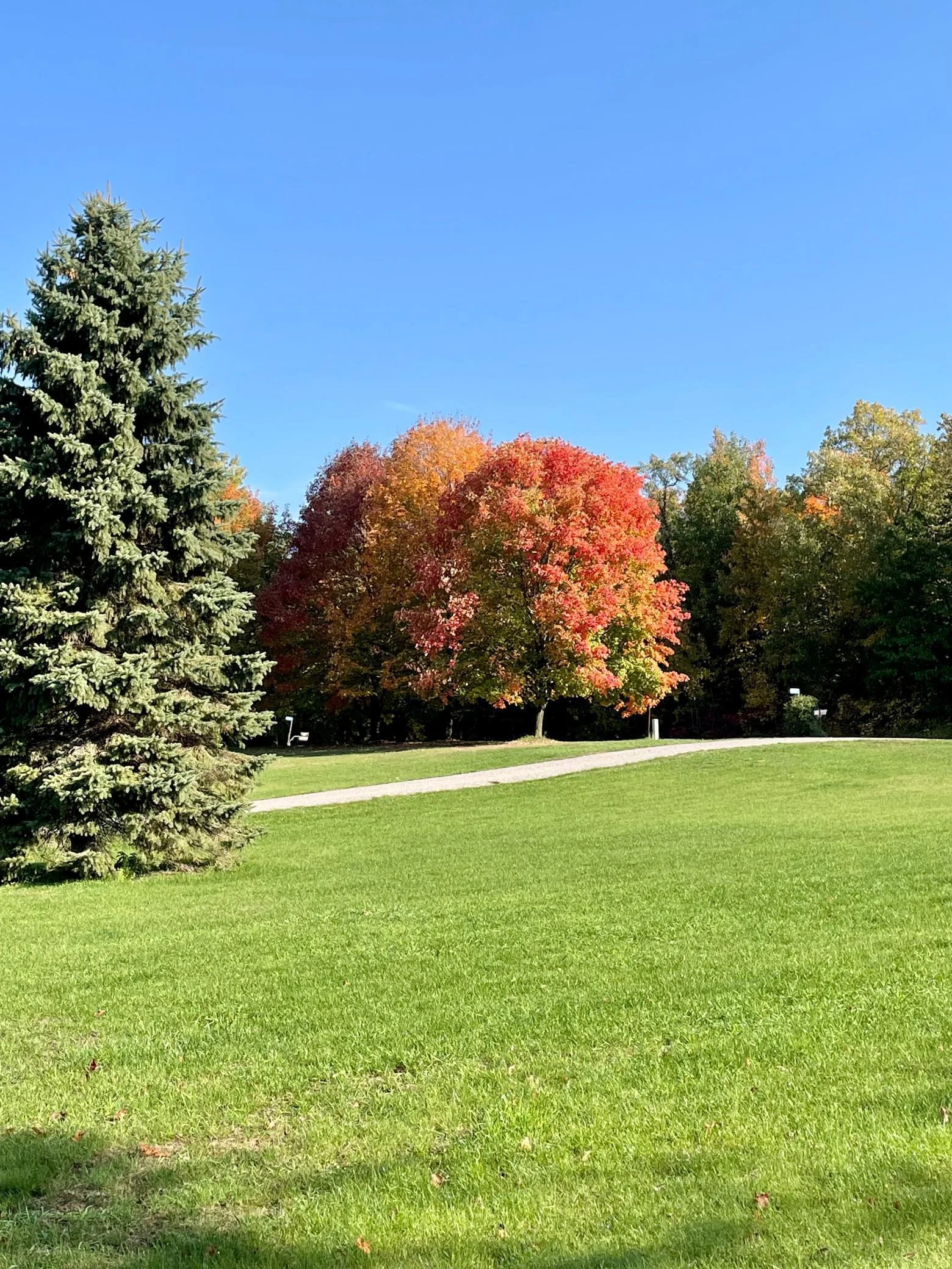 driveway in fall