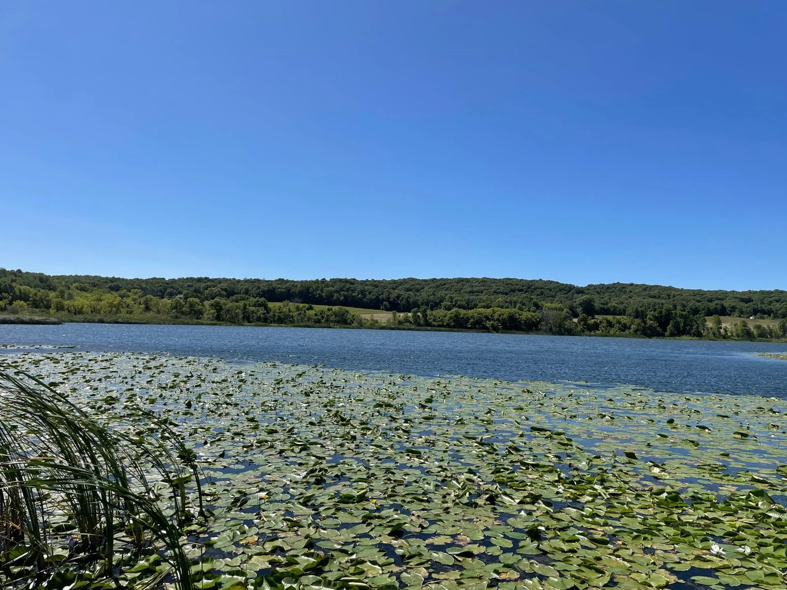 Schmid lake