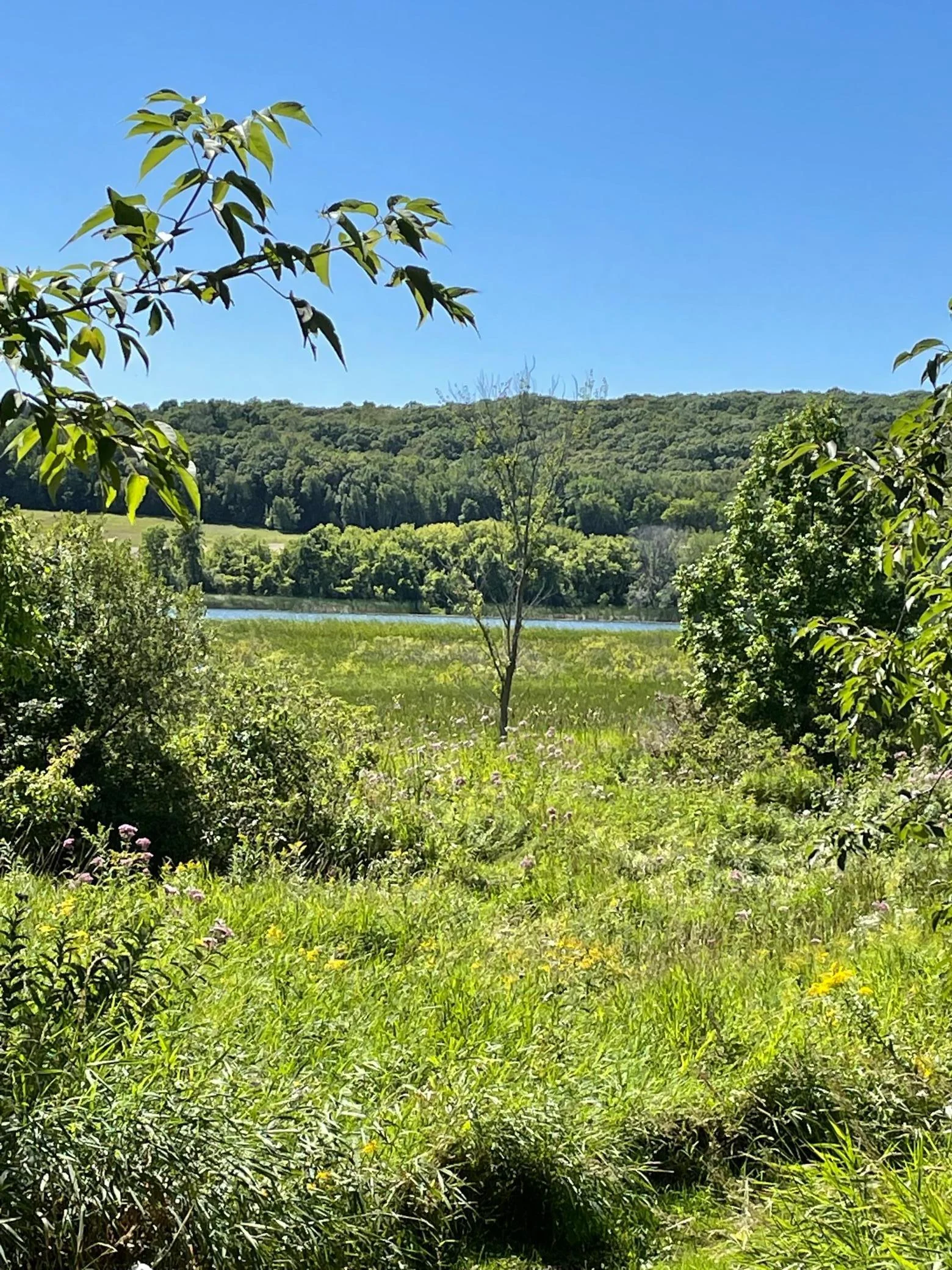view to lake