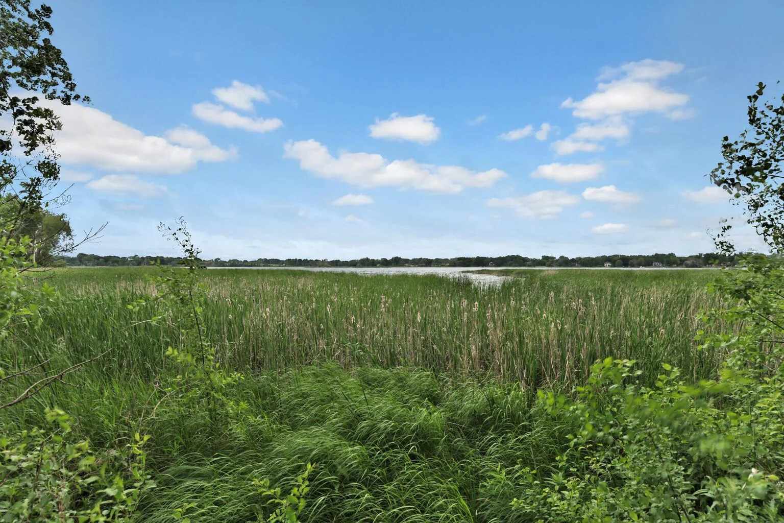 Otter Lake