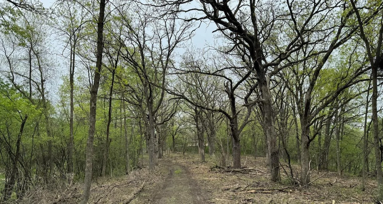 Zone 3 entrance drive.