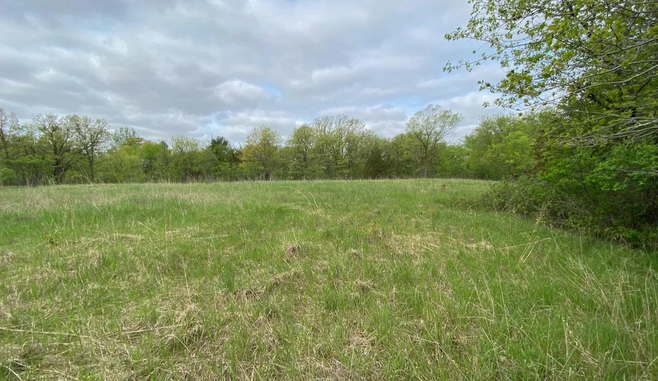 Zone 4 Upland. Build your ranch with outbuildings, rezone for multiple single family homes... many possibilities