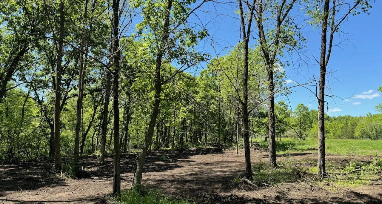 Zone 3 looking into Zone 4