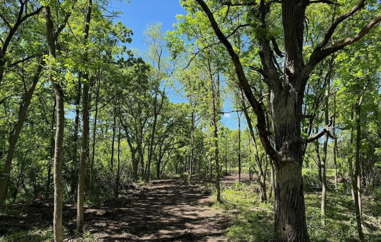 Zone 3 looking into Zone 4