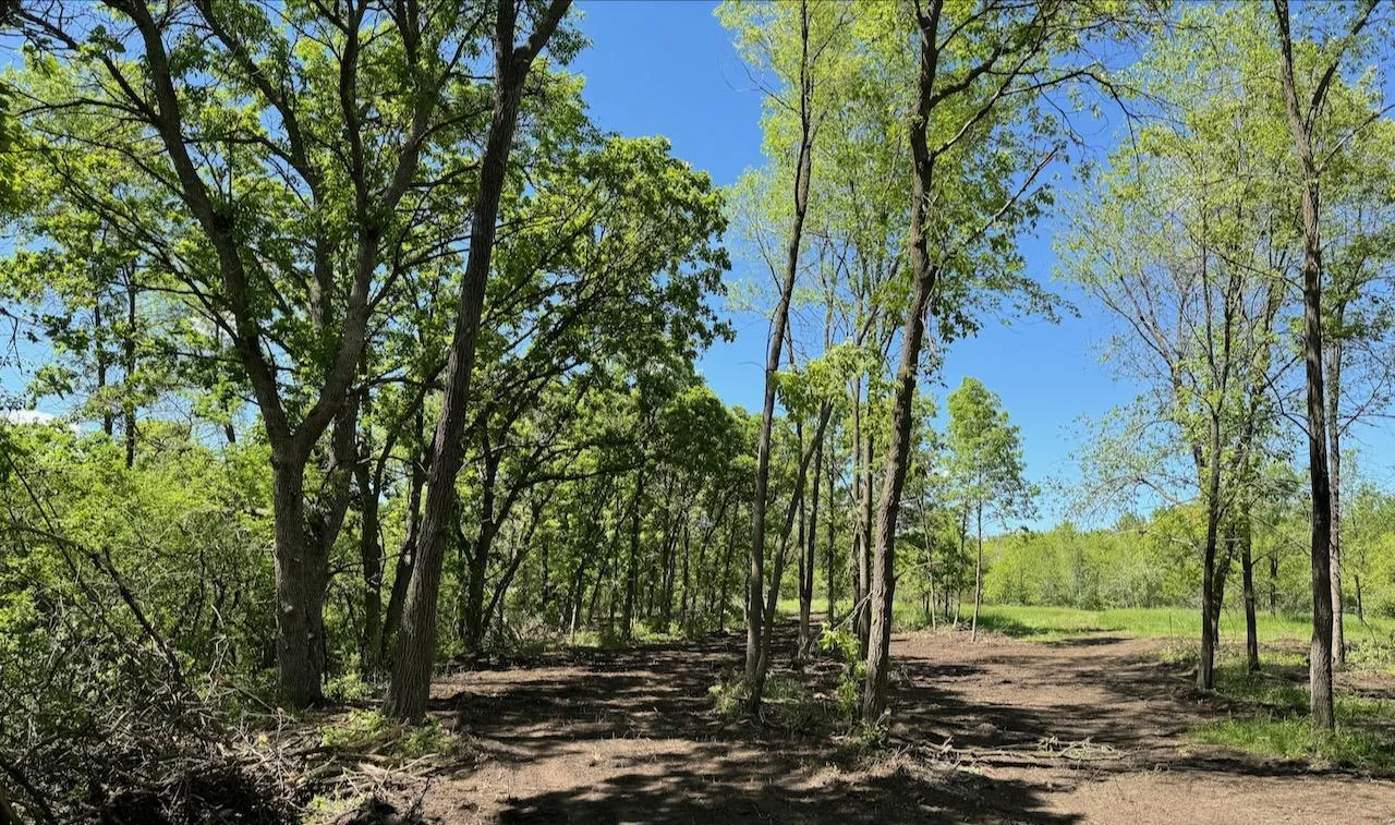 Zone 3 looking into Zone 4