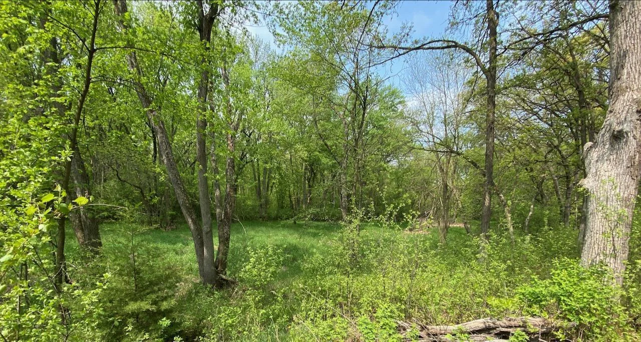 Zone 4, picture taken from back border of Vacant Lot 2 on Pine St.